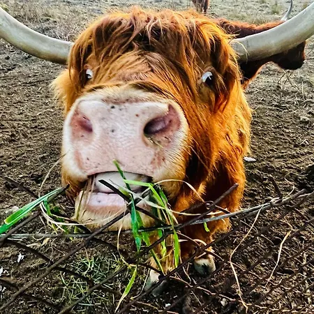 بيت للعطل Widac Wydmy ليبا