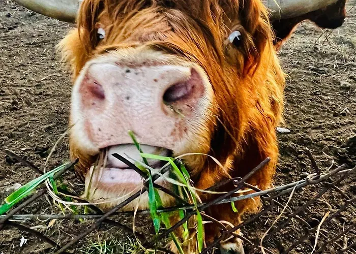 Semesterbostad Widac Wydmy Łeba